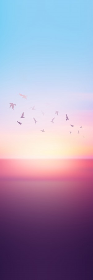 Abstract Sunset VIII - Panoramic